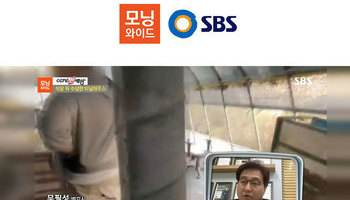 문필성변호사, SBS 모닝와이드 동물보호법 위반, 도박죄 관련 인터뷰