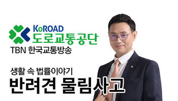 TBN 과실치상 - 반려견 물림사고 [이승우변호사 인터뷰]