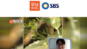 배슬찬변호사, SBS 모닝와이드 동물학대 행위 동물보호법 관련 인터뷰