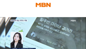 김미강변호사 MBN 뉴스7 인터뷰 출연ㅣ동물학대 영상에 대한 동물보호법 위반 사안