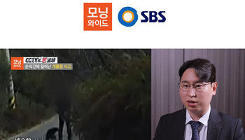배슬찬변호사 SBS 모닝와이드 [CCTV로 본 세상] 인터뷰 출연ㅣ순식간에 일어난 개물림 