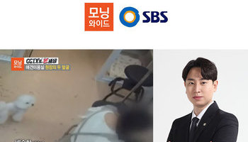 배슬찬변호사 SBS 모닝와이드 [CCTV로 본 세상] 인터뷰 출연ㅣ애견미용실 원장의 두 얼